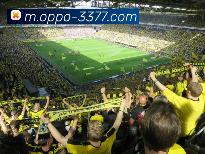 3377体育平台生态图